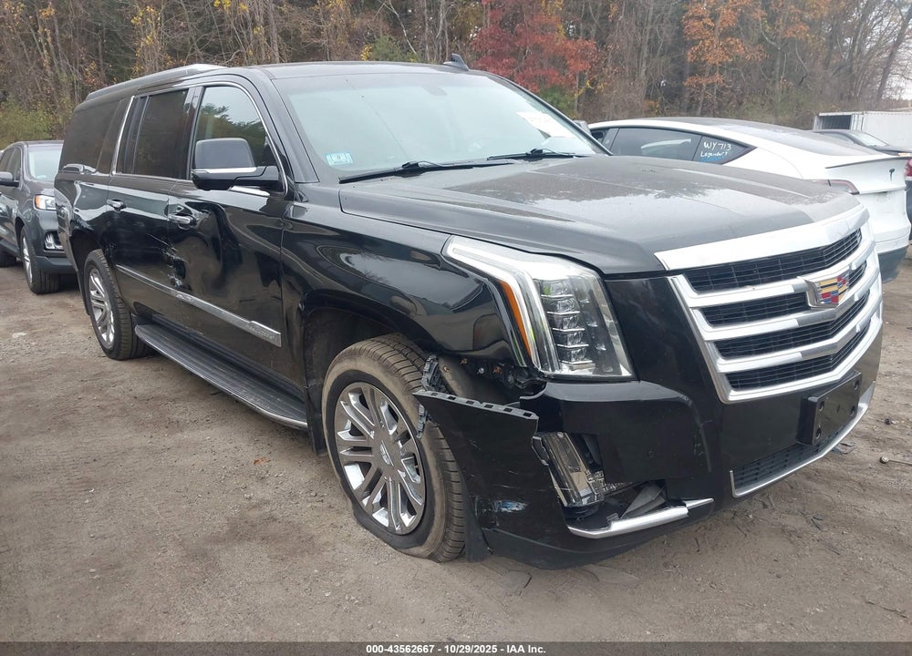 2018 CADILLAC ESCALADE ESV STANDARD VIN: 1GYS4GKJ0JR174301
