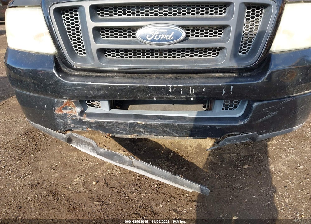 2004 FORD F-150 VIN: 1FTRF12W54NA90980