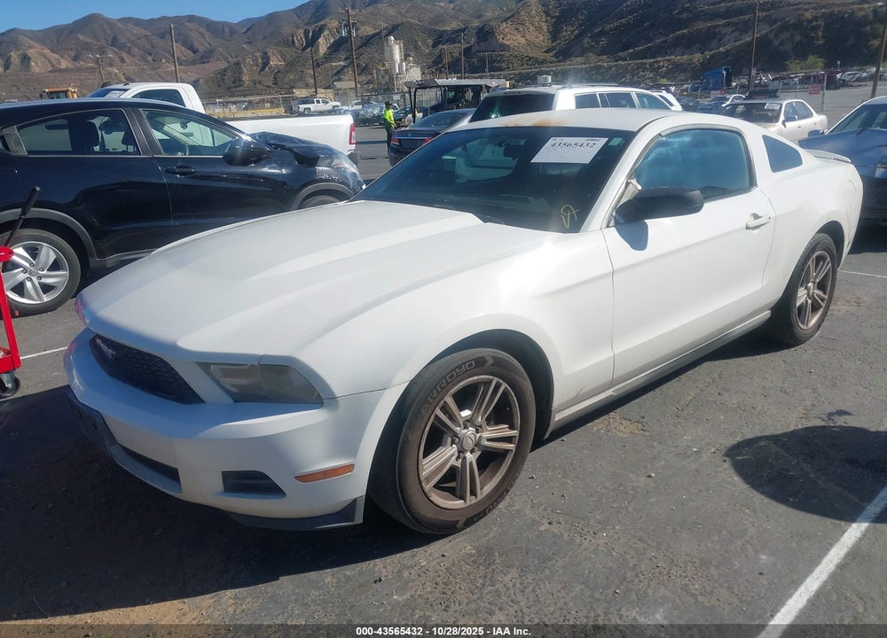 2010 FORD MUSTANG V6/V6 PREMIUM VIN: 1ZVBP8AN3A5123547