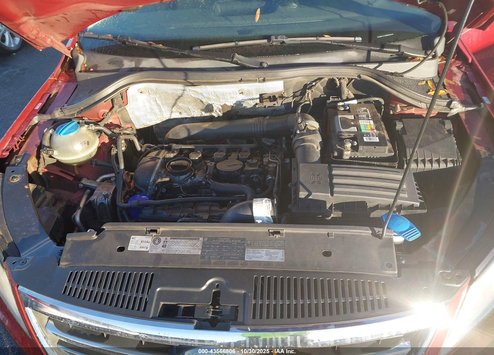 2011 VOLKSWAGEN TIGUAN S VIN: WVGBV7AX8BW001617