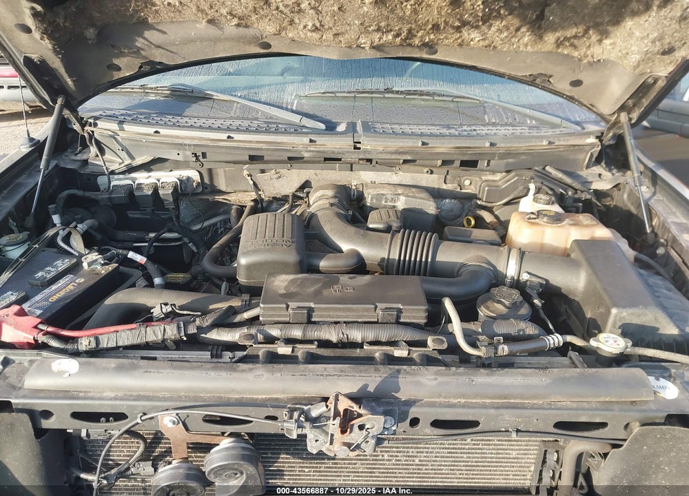 2010 FORD F-150 VIN: 1FTFW1EVXAFC36060