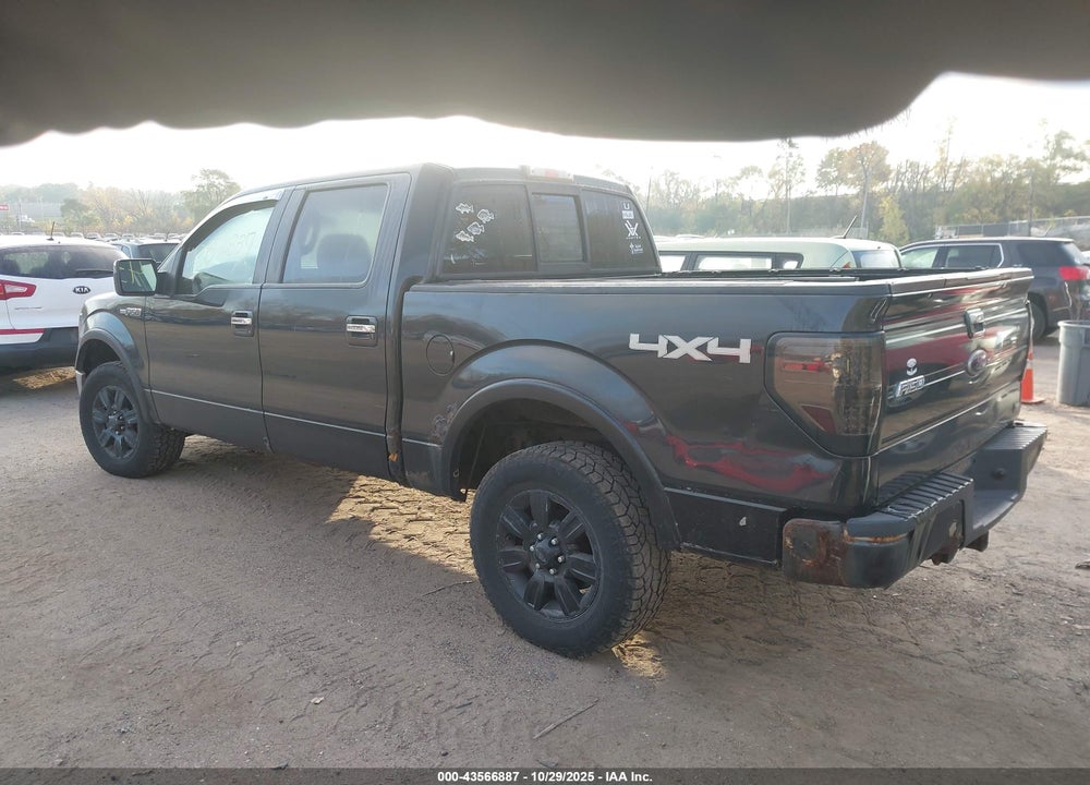 2010 FORD F-150 VIN: 1FTFW1EVXAFC36060