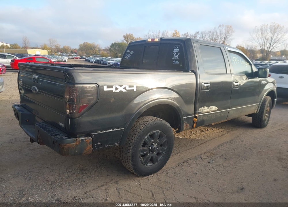 2010 FORD F-150 VIN: 1FTFW1EVXAFC36060