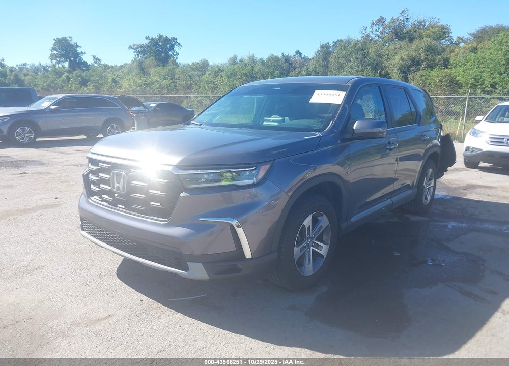 2024 HONDA PILOT EX-L VIN: 5FNYG2H49RB013099