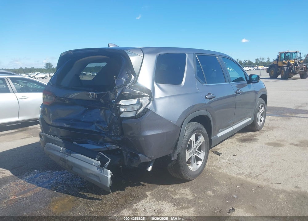 2024 HONDA PILOT EX-L VIN: 5FNYG2H49RB013099