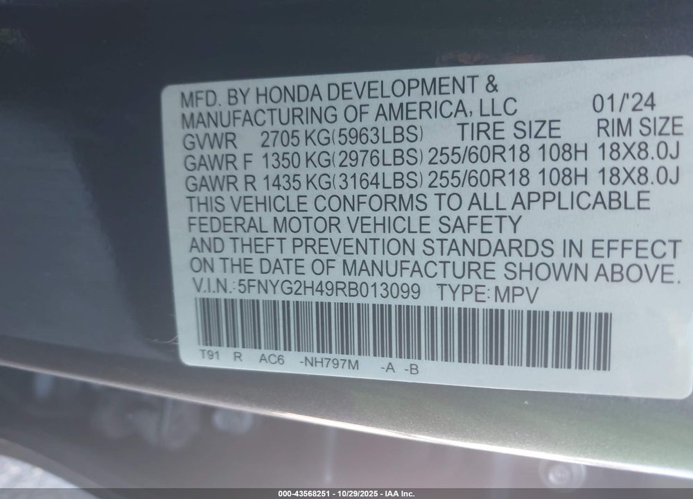 2024 HONDA PILOT EX-L VIN: 5FNYG2H49RB013099