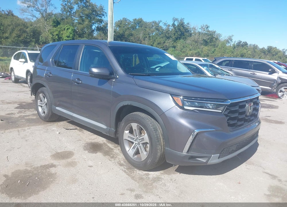 2024 HONDA PILOT EX-L VIN: 5FNYG2H49RB013099