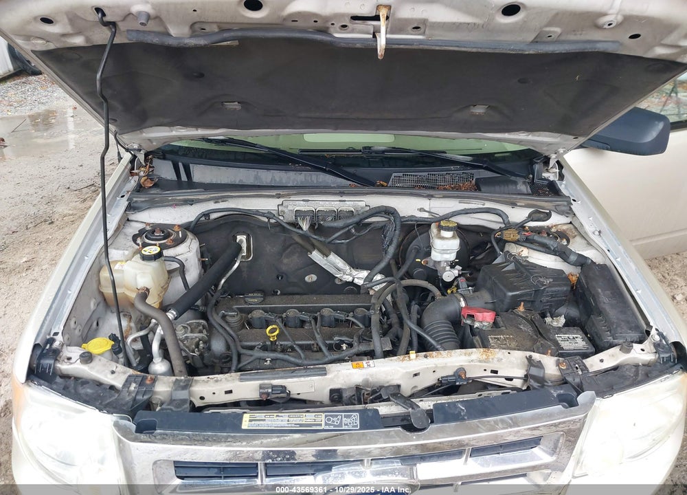 2010 FORD ESCAPE XLT VIN: 1FMCU0D71AKB12073