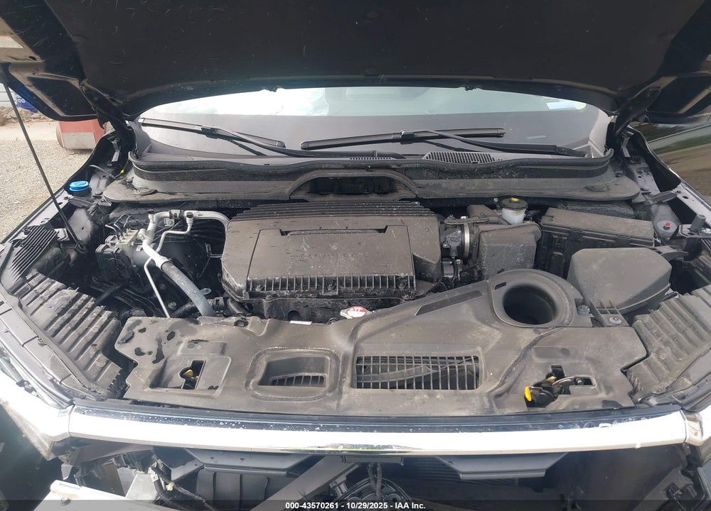 2025 HONDA PILOT EX-L VIN: 5FNYG1H41SB039955
