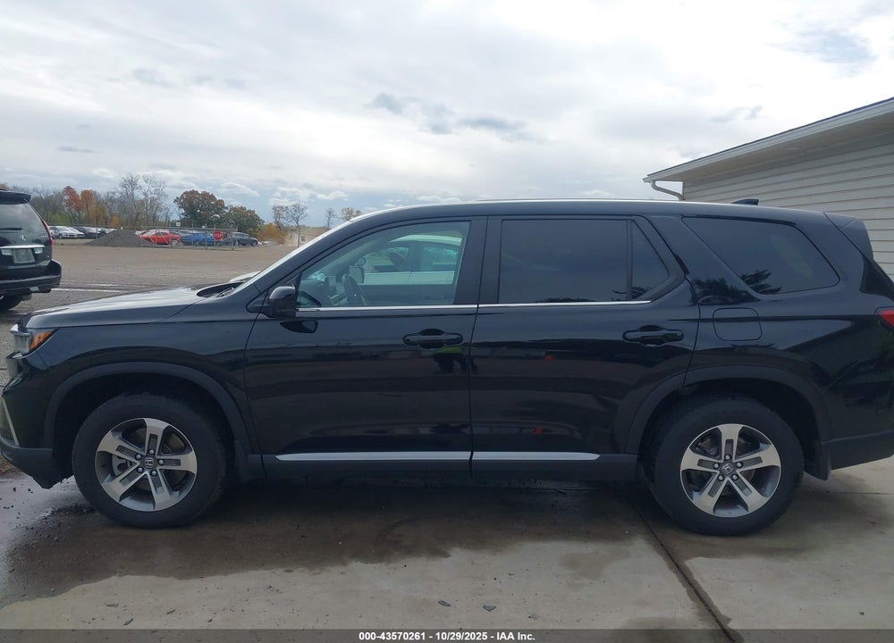 2025 HONDA PILOT EX-L VIN: 5FNYG1H41SB039955