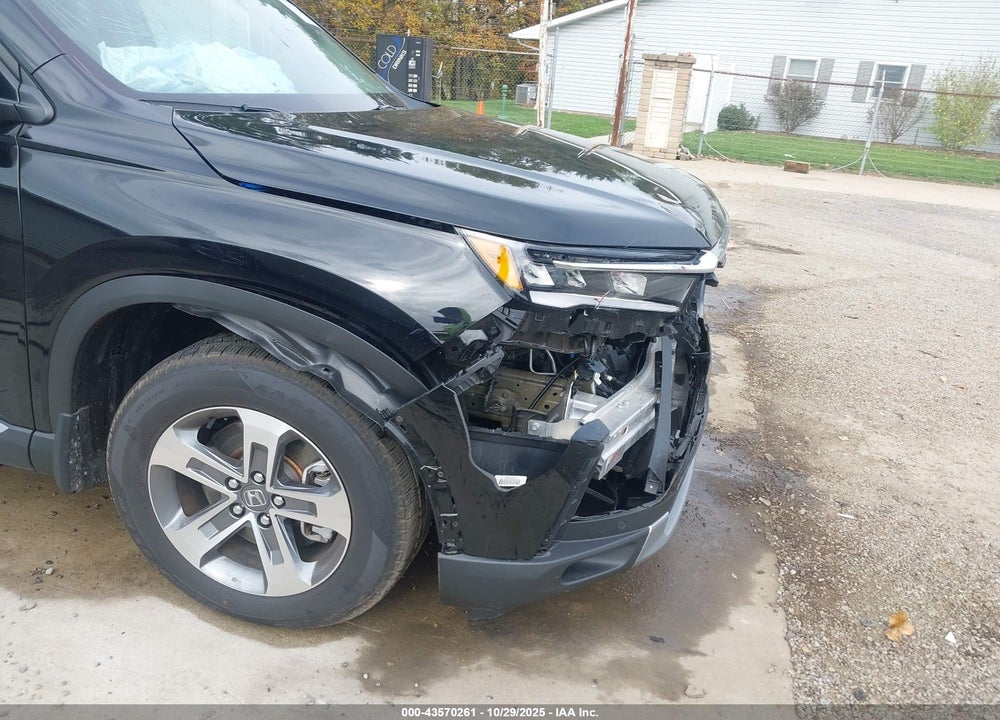 2025 HONDA PILOT EX-L VIN: 5FNYG1H41SB039955