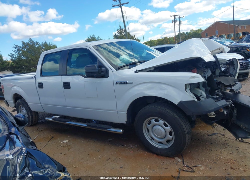 2010 FORD F-150 VIN: 1FTEW1CW2AFB33741
