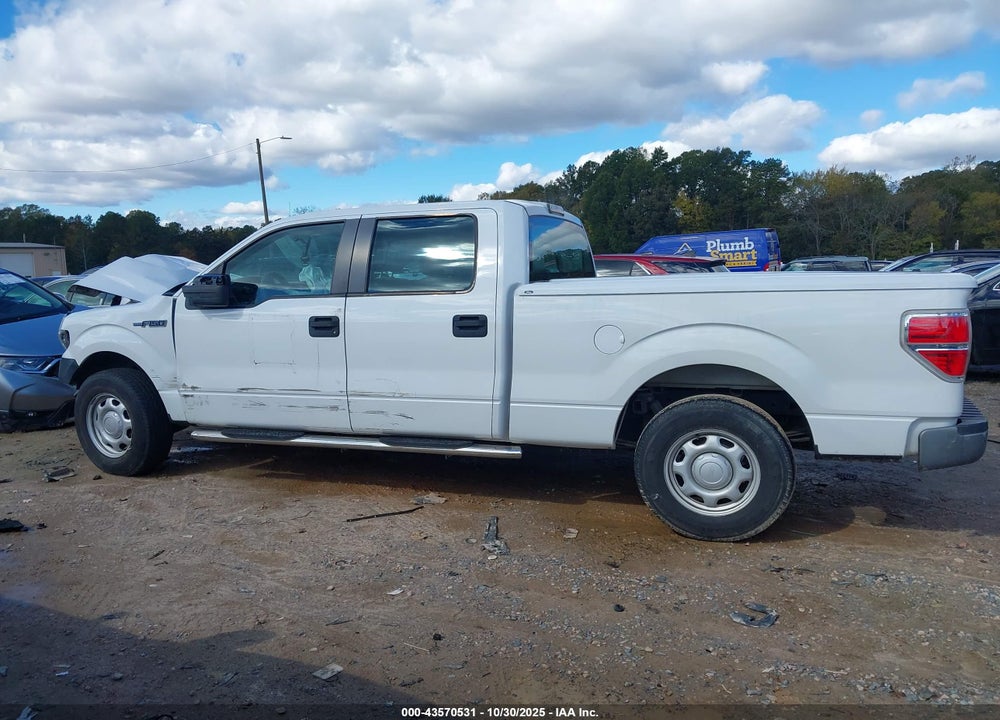 2010 FORD F-150 VIN: 1FTEW1CW2AFB33741
