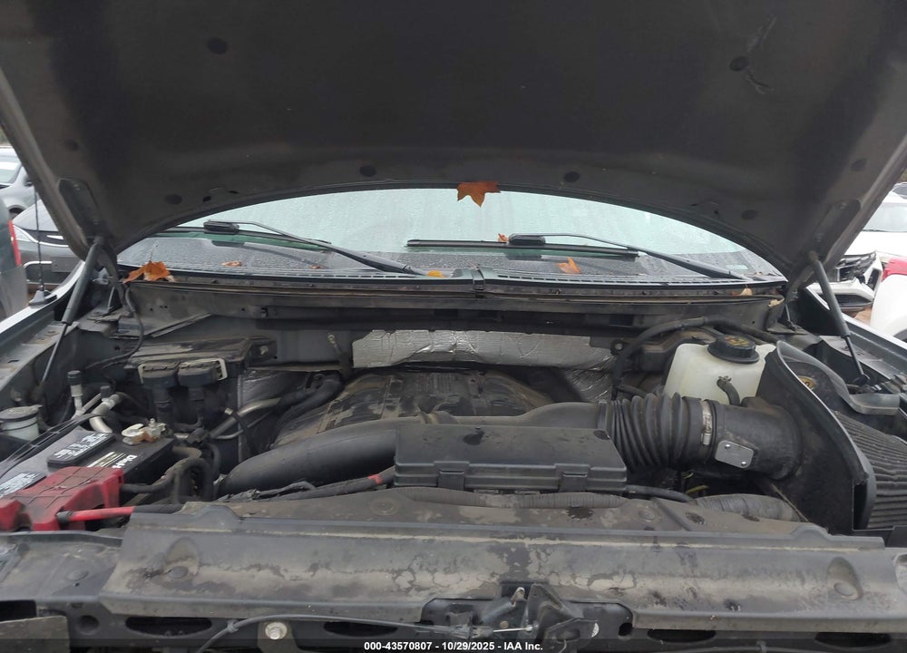 2012 FORD F-150 VIN: 1FTFX1ETXCFB05158