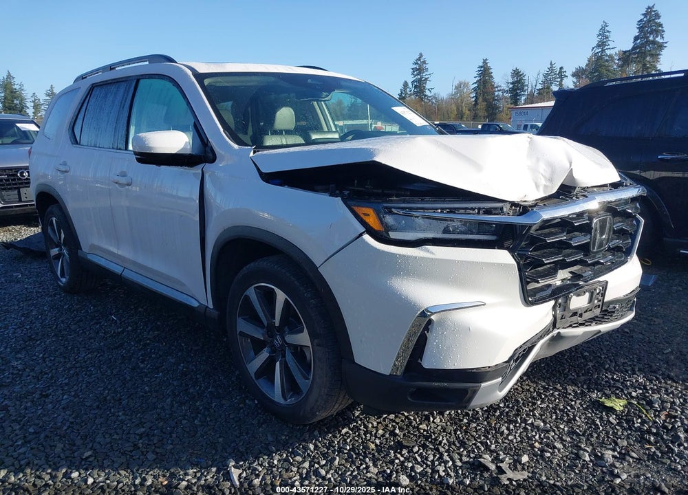 2024 HONDA PILOT ELITE VIN: 5FNYG1H85RB033170