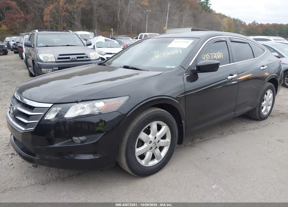 2010 HONDA ACCORD CROSSTOUR VIN: 5J6TF2H51AL802008