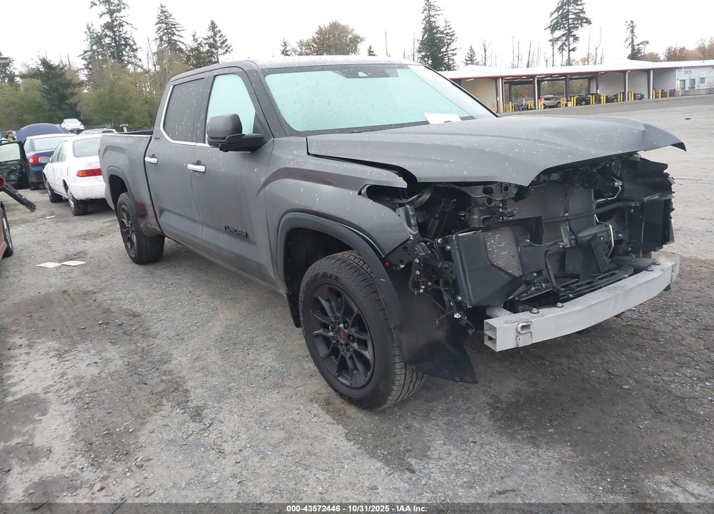 2023 TOYOTA TUNDRA LIMITED VIN: 5TFJA5EC6PX019655