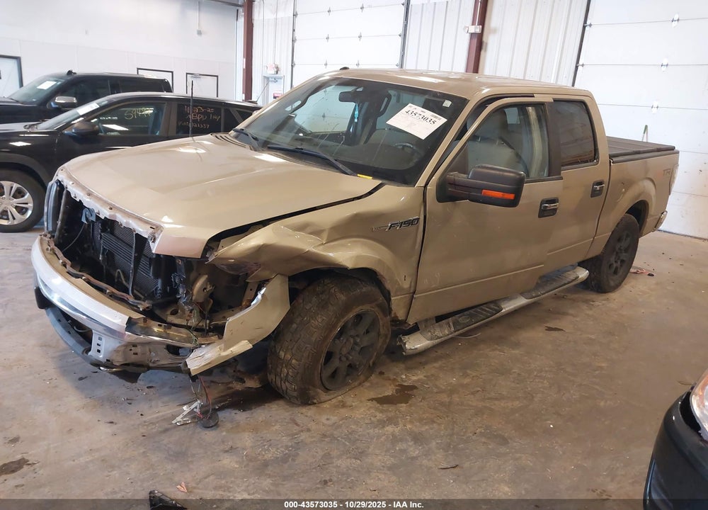 2010 FORD F-150 VIN: 1FTEW1E8XAFD92153