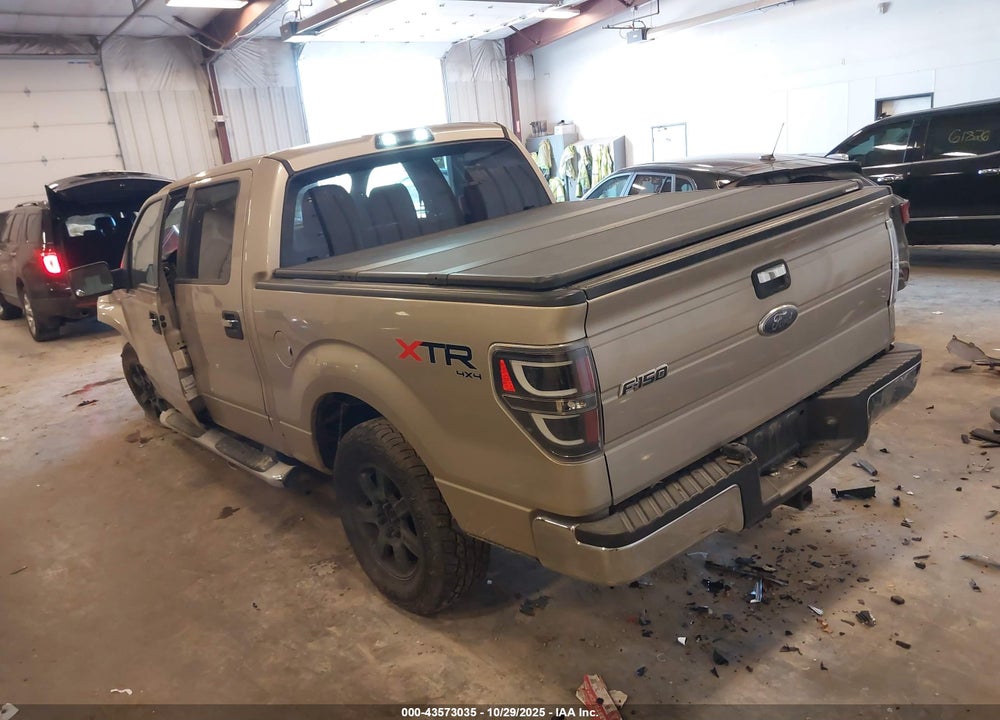2010 FORD F-150 VIN: 1FTEW1E8XAFD92153