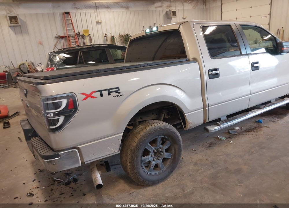 2010 FORD F-150 VIN: 1FTEW1E8XAFD92153