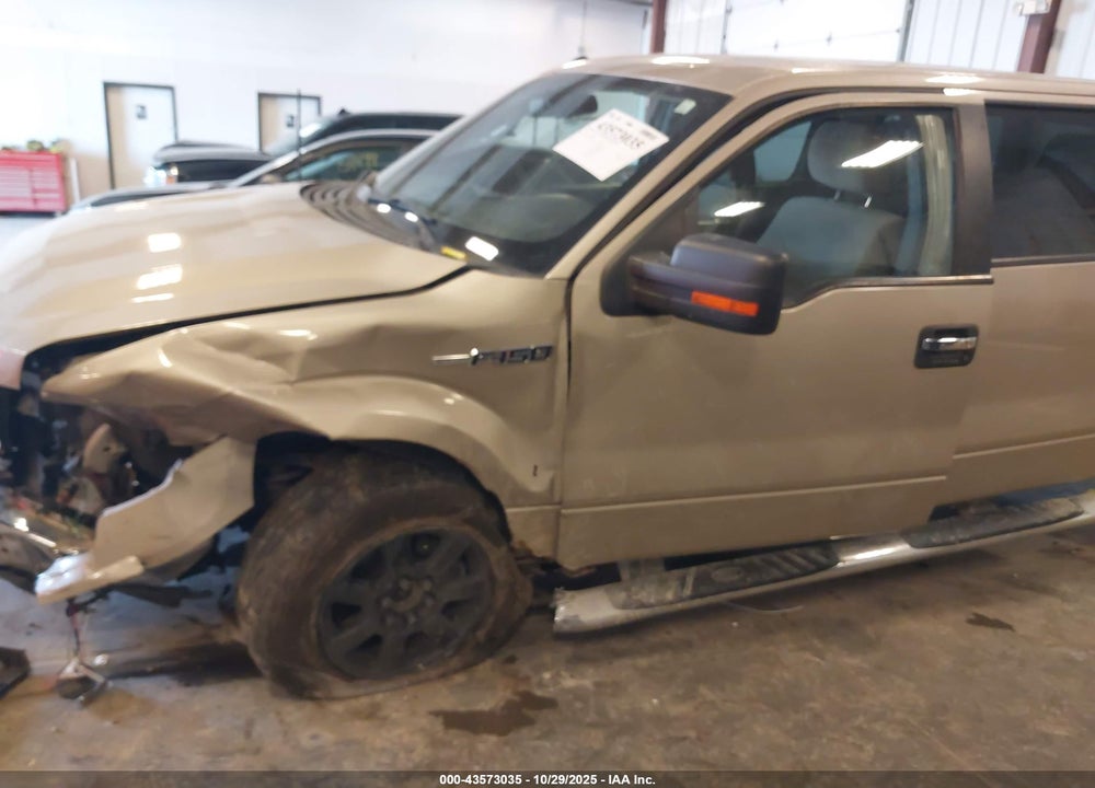 2010 FORD F-150 VIN: 1FTEW1E8XAFD92153