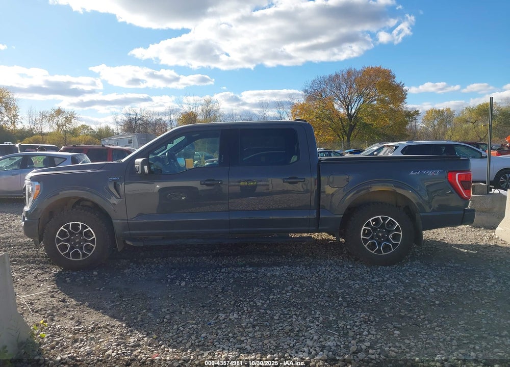 2021 FORD F-150 XLT VIN: 1FTEW1EP1MFA42955