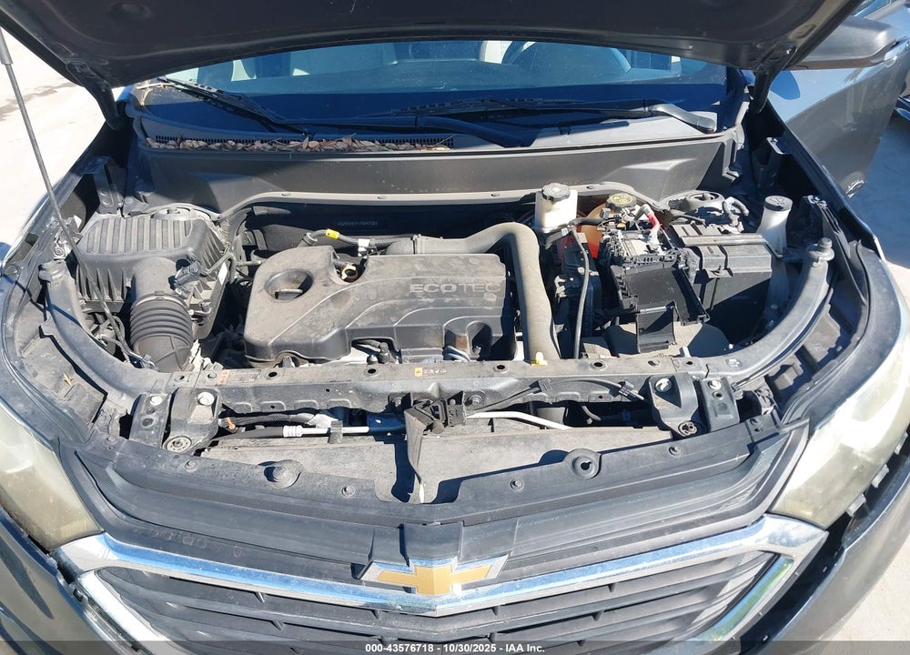 2018 CHEVROLET EQUINOX LS VIN: 3GNAXHEV4JS645738