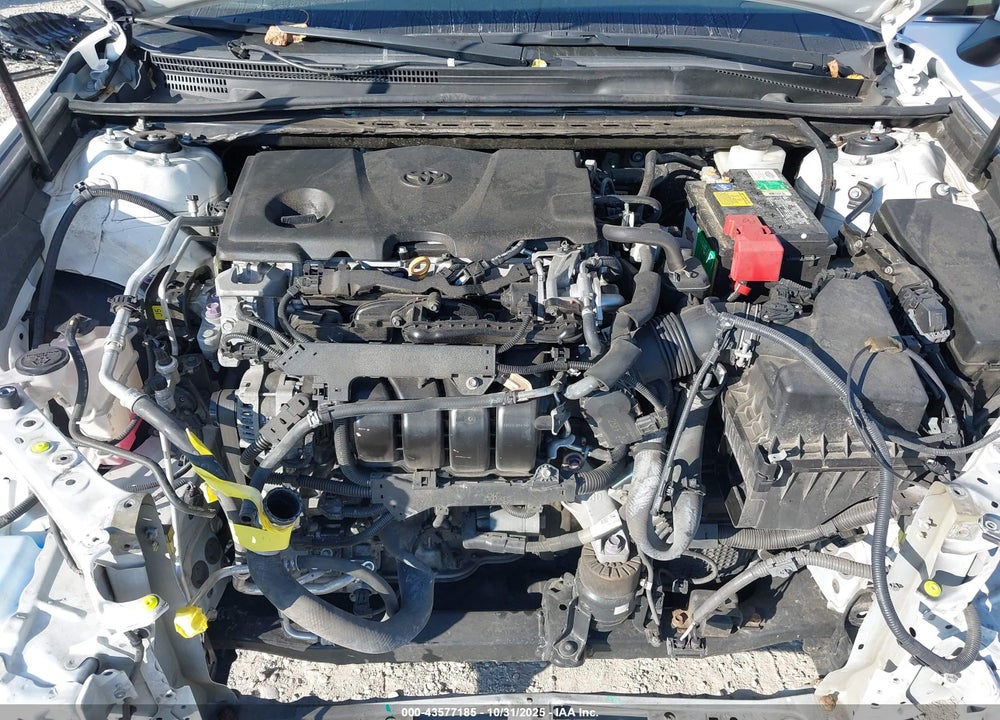 2019 TOYOTA CAMRY SE VIN: 4T1B11HK7KU699989