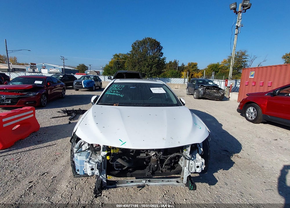 2019 TOYOTA CAMRY SE VIN: 4T1B11HK7KU699989