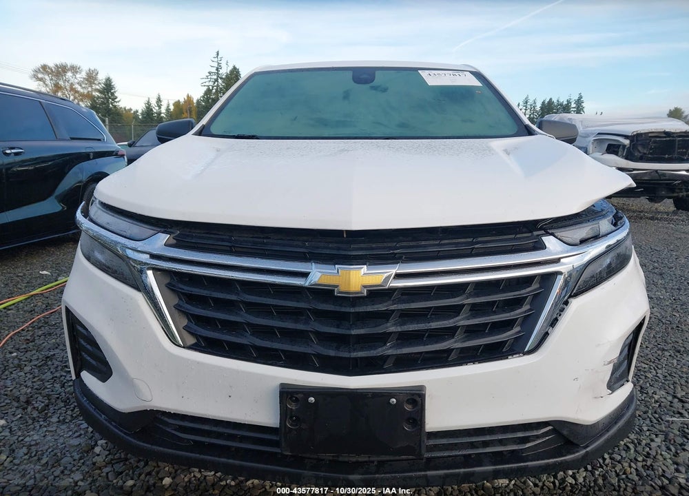 2024 CHEVROLET EQUINOX FWD LS VIN: 3GNAXHEG0RL175389