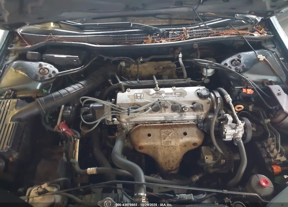 1998 HONDA ACCORD EX VIN: 1HGCG5654WA219265