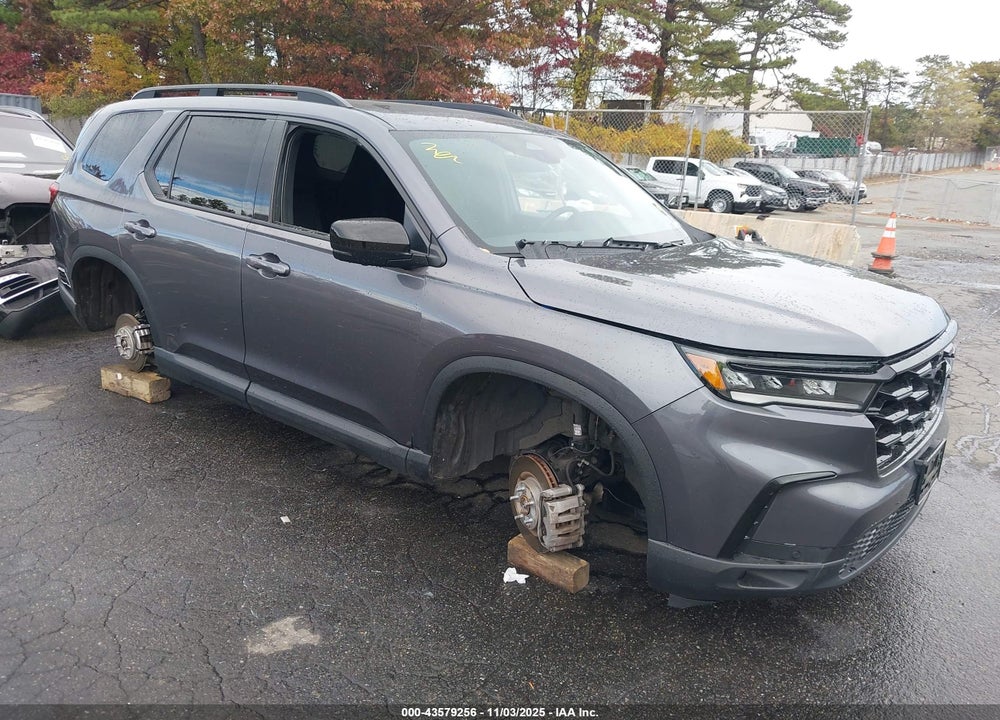 2025 HONDA PILOT BLACK EDITION VIN: 5FNYG1H9XSB016508