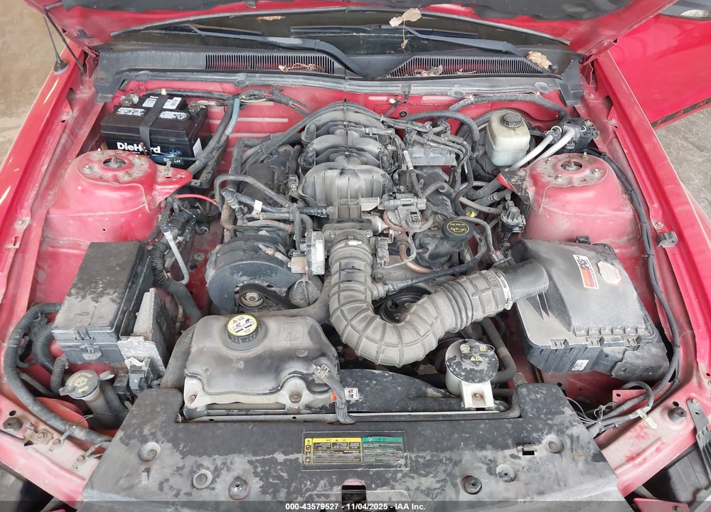 2005 FORD MUSTANG V6 DELUXE/V6 PREMIUM VIN: 1ZVFT80N255233817