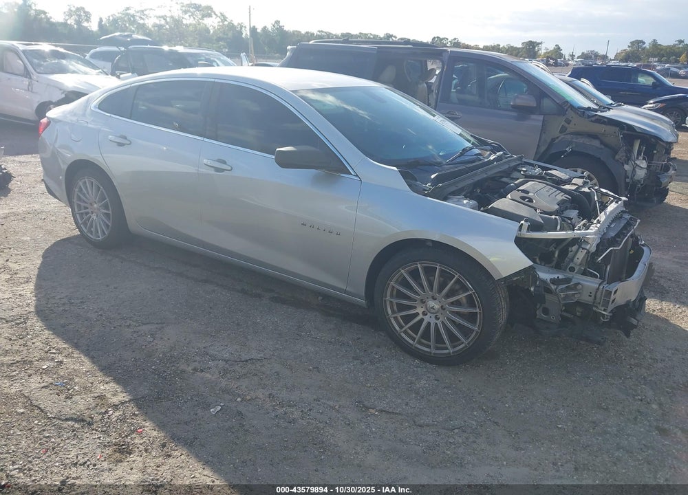 2019 CHEVROLET MALIBU 1LS VIN: 1G1ZB5ST0KF223749