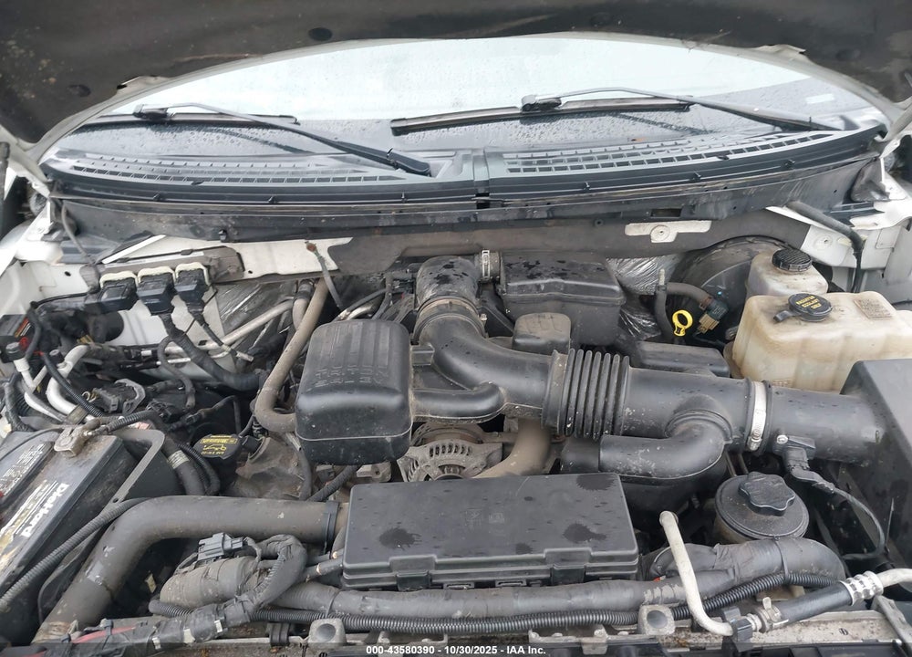 2010 FORD F-150 VIN: 1FTFX1CV2AKE30248