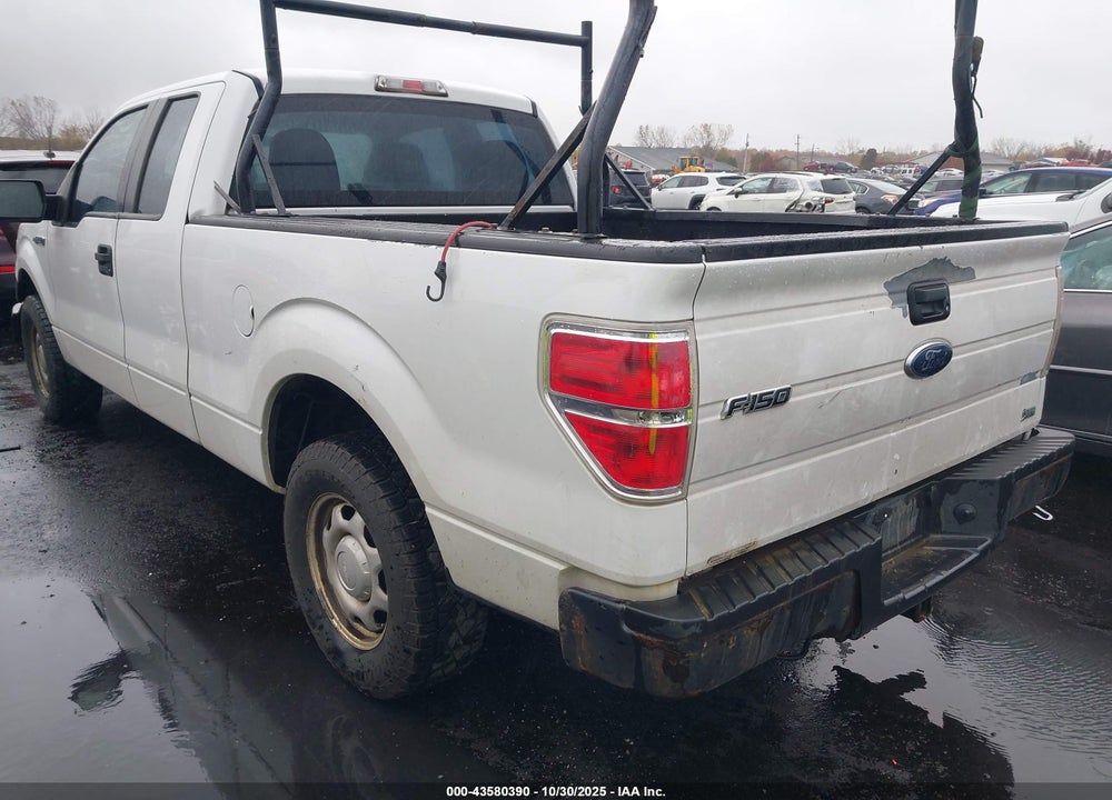 2010 FORD F-150 VIN: 1FTFX1CV2AKE30248