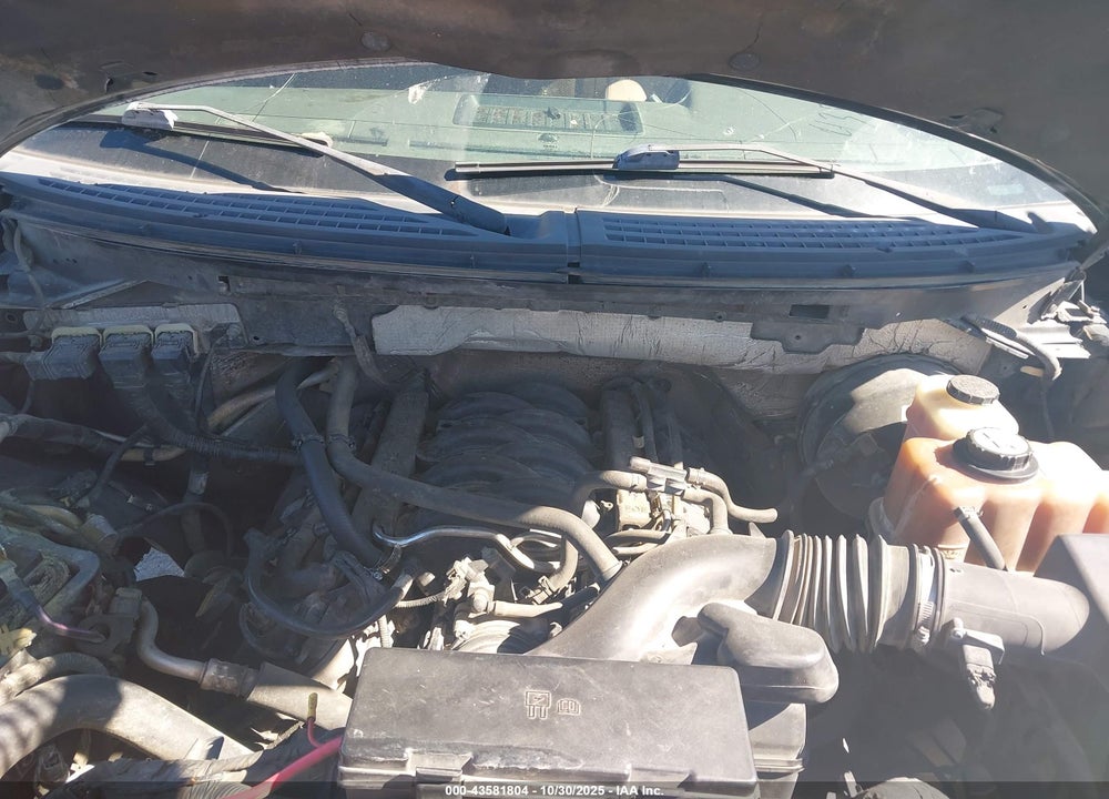 2013 FORD F-150 VIN: 1FTFW1CF1DKE10315