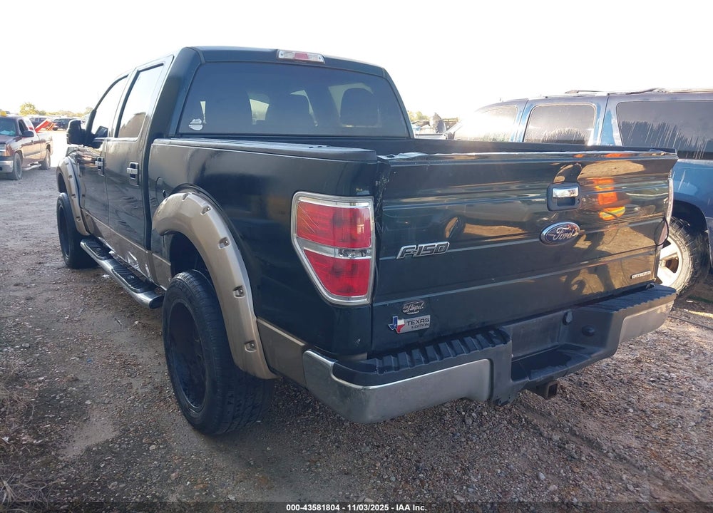 2013 FORD F-150 VIN: 1FTFW1CF1DKE10315