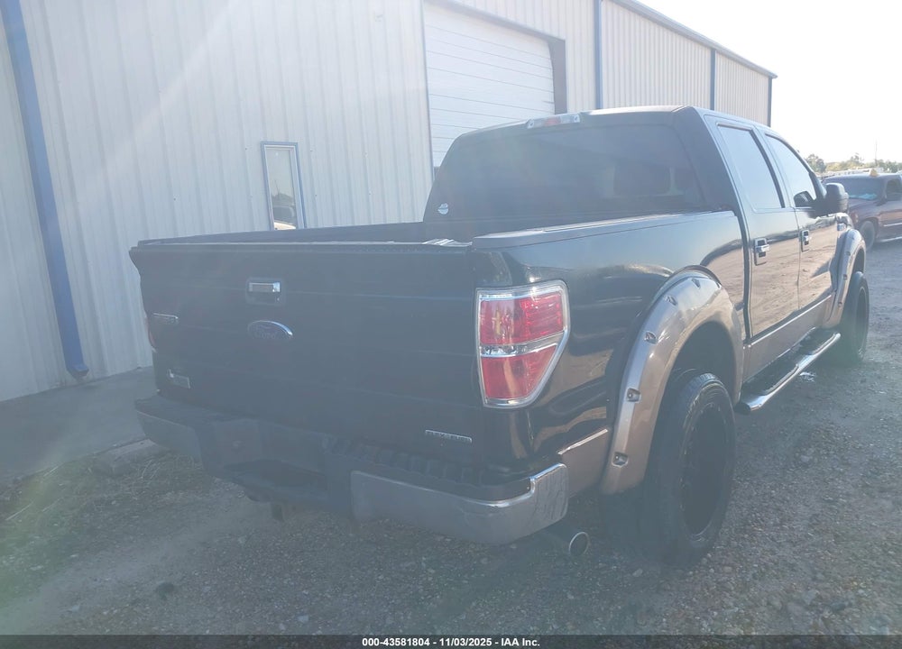 2013 FORD F-150 VIN: 1FTFW1CF1DKE10315