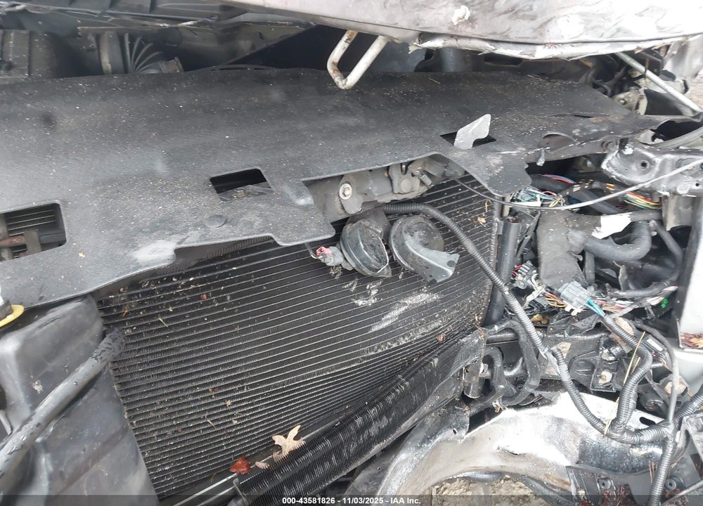 2009 DODGE RAM 1500 VIN: 1D3HV18P09S797113