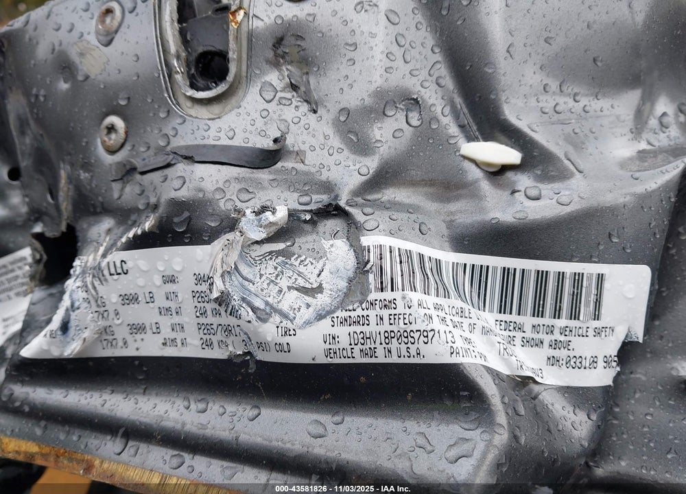 2009 DODGE RAM 1500 VIN: 1D3HV18P09S797113