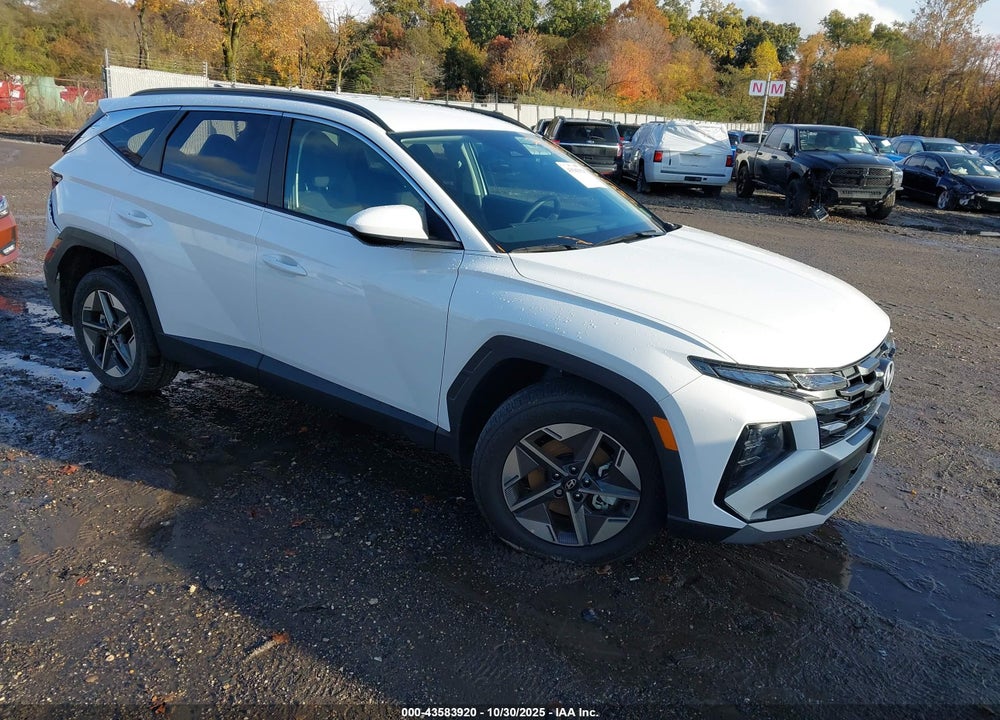 2025 HYUNDAI TUCSON SEL VIN: 5NMJBCDE8SH587511