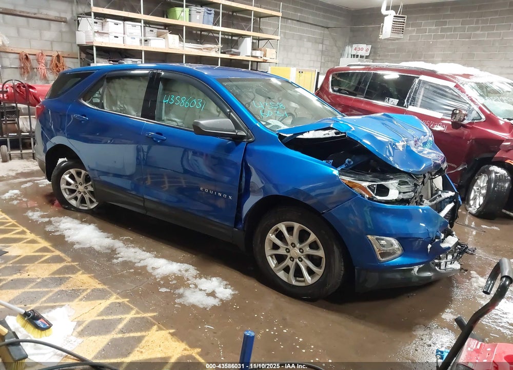2019 CHEVROLET EQUINOX LS VIN: 3GNAXSEV1KS556563