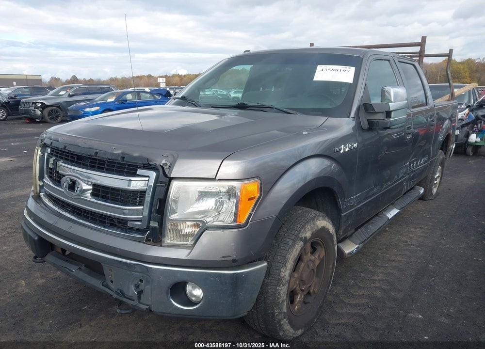 2013 FORD F-150 XLT VIN: 1FTFW1EF9DFA22691