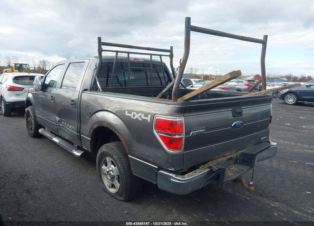 2013 FORD F-150 XLT VIN: 1FTFW1EF9DFA22691