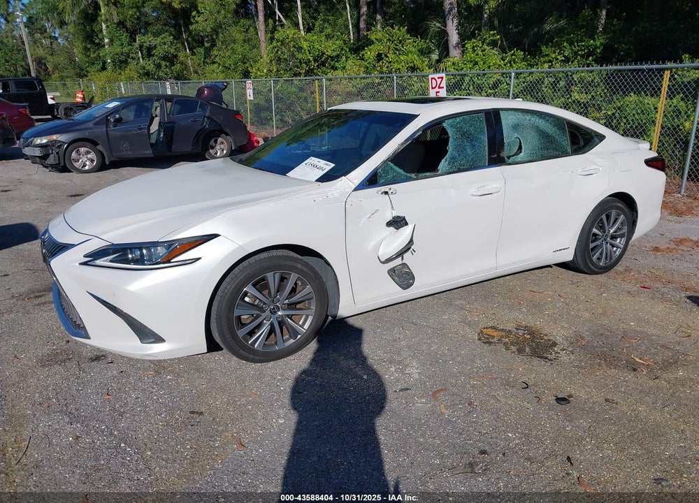 2020 LEXUS ES 300H VIN: 58AD21B15LU005901