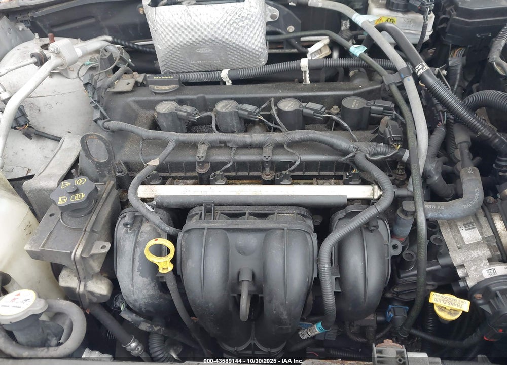 2010 FORD FOCUS VIN: 1FAHP3GN3AW191385
