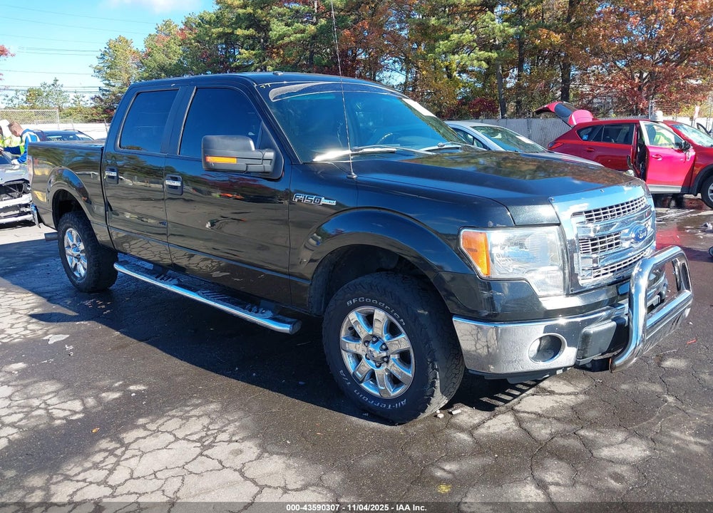 2014 FORD F-150 XLT VIN: 1FTFW1EF3EFA64842