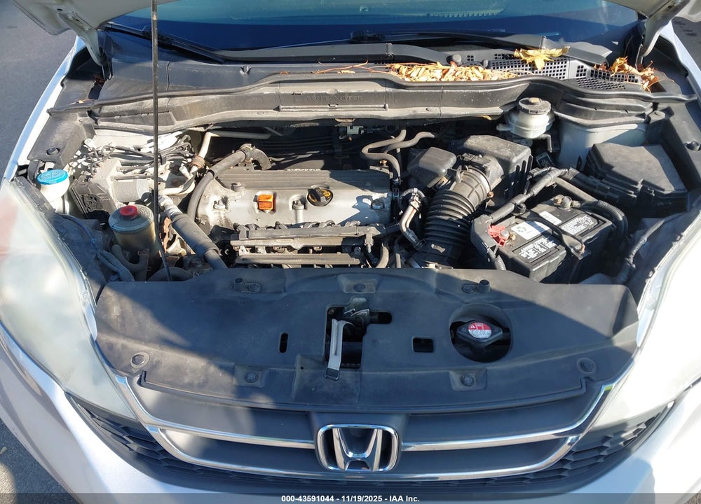 2010 HONDA CR-V VIN: 5J6RE4H37AL065727