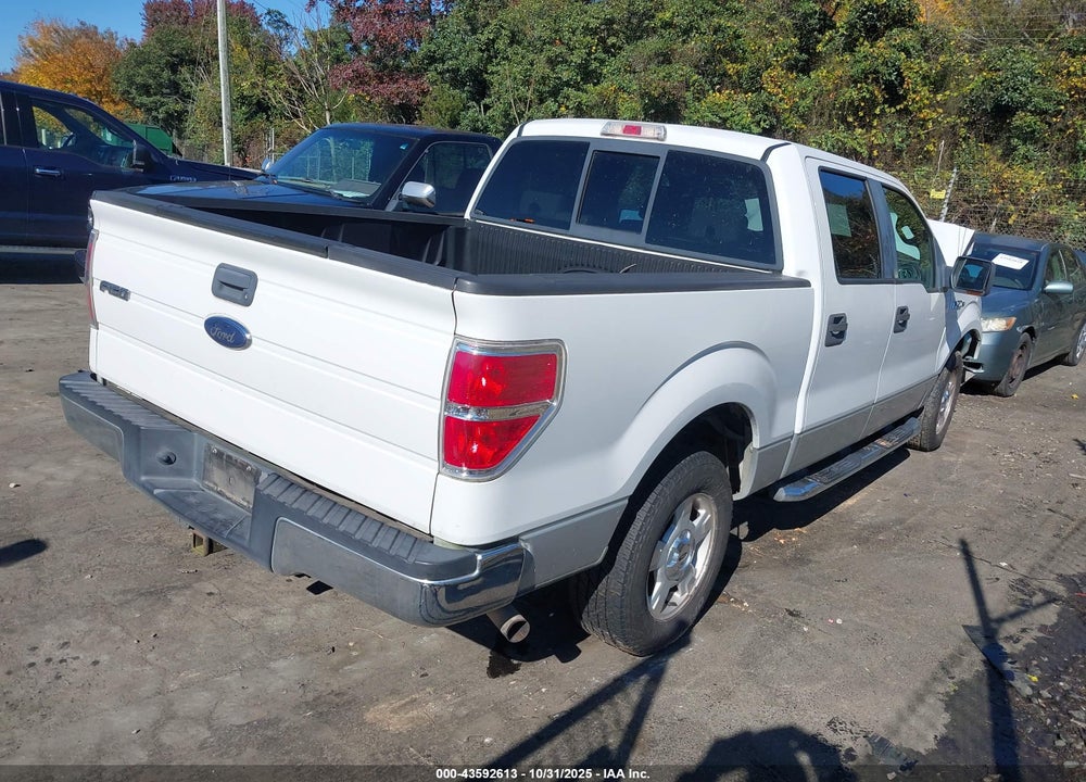 2009 FORD F-150 XL/XLT VIN: 1FTRW12859FB11961